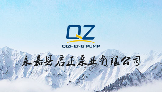 永嘉县启正泵业有限公司